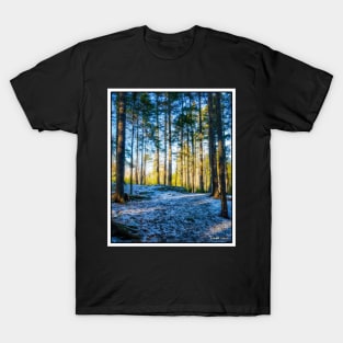 Hemlock Ravine Park 12 T-Shirt